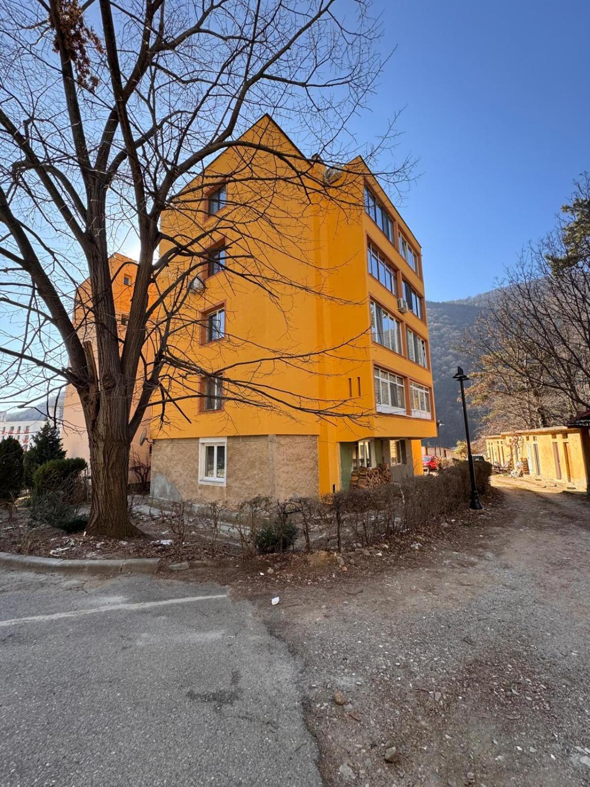 Linen Tree Apartment Băile Herculane Extérieur photo